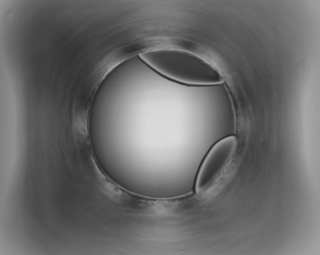 X0000112150905200908071113