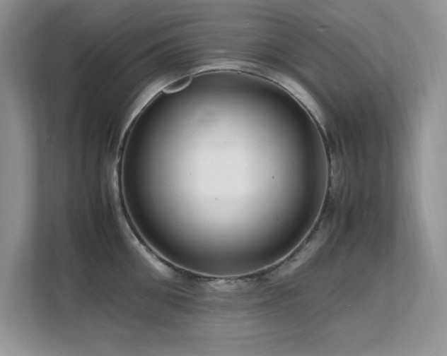 X0000112150906200908071113