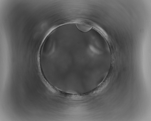 X0000112150907200908071113