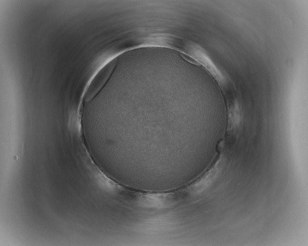 X0000112150908200908071113