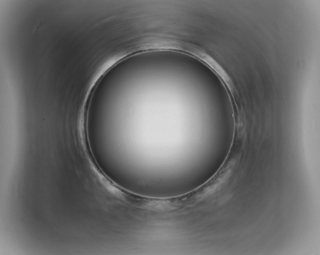 X0000112150909200908071113
