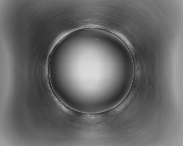 X0000112150910200908071113