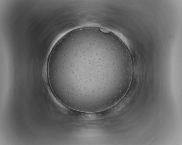 X0000112150911200908071113