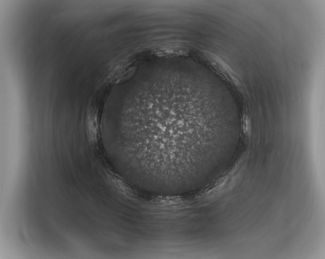 X0000112150915200908071113