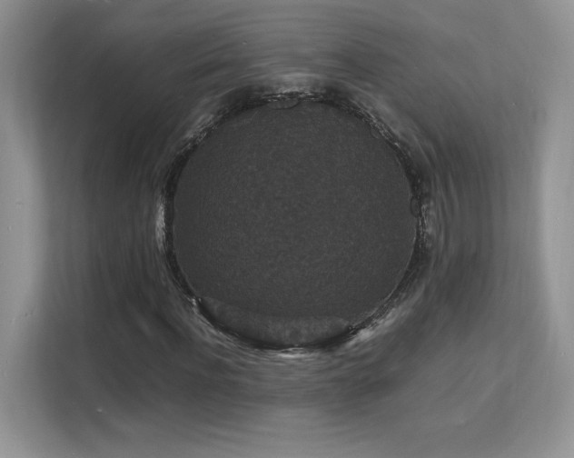 X0000112150916200908071113