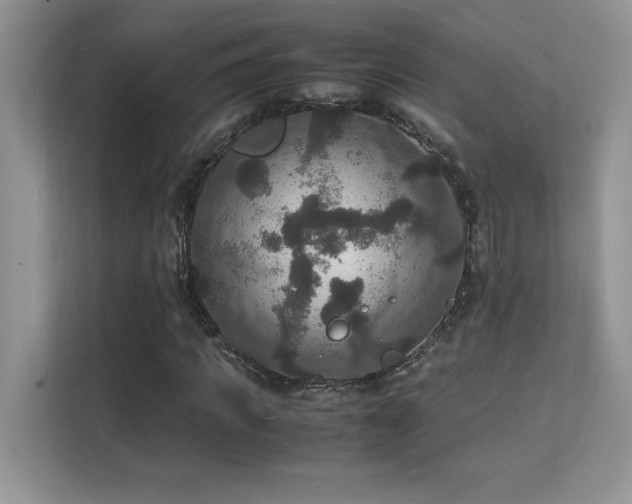 X0000112150917200908071113