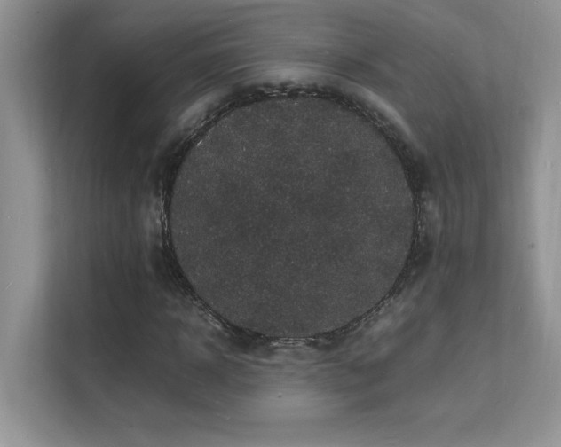 X0000112150918200908071113