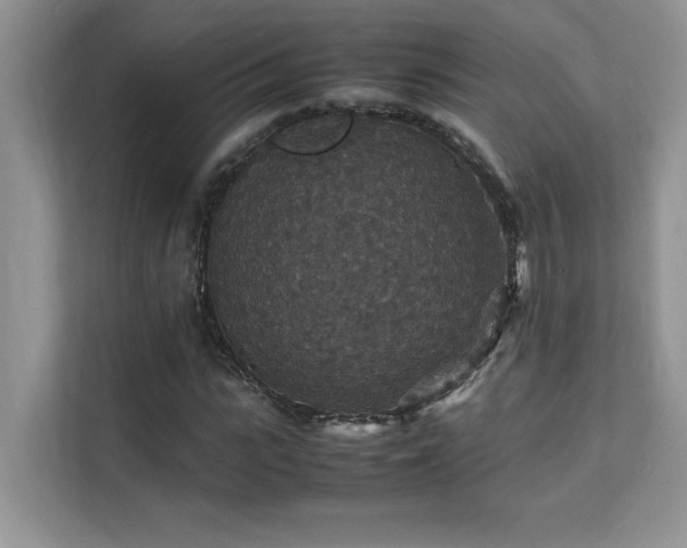 X0000112150919200908071113