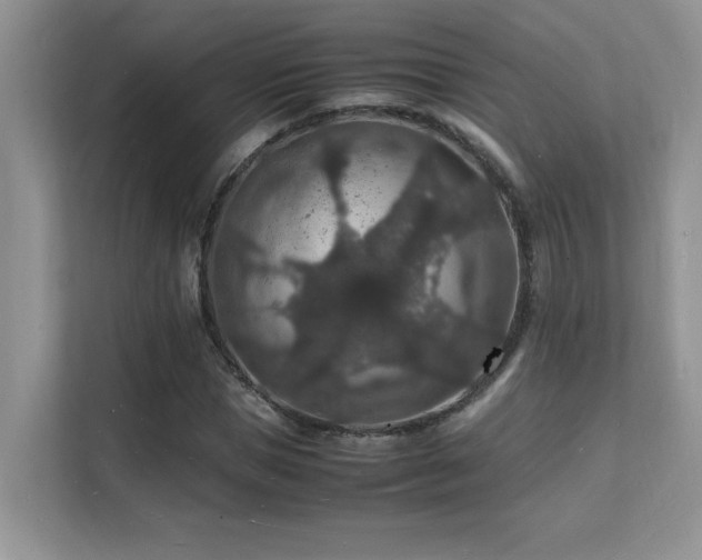 X0000112150921200908071113