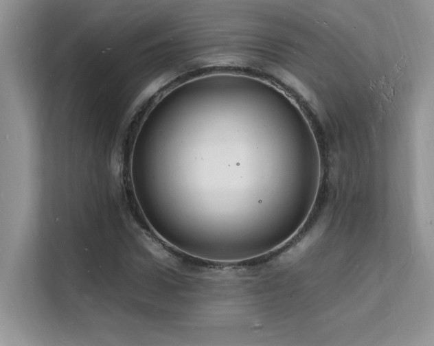 X0000112150922200908071113
