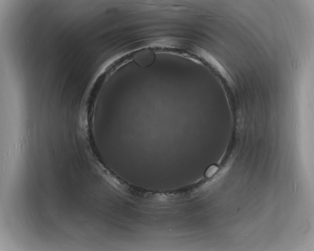 X0000112150923200908071113