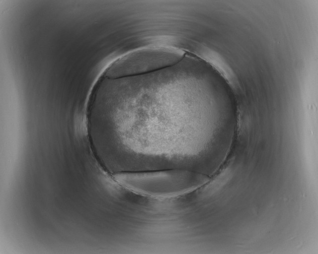 X0000112150924200908071113