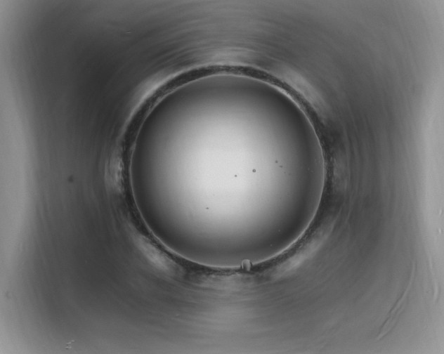 X0000112150926200908071113