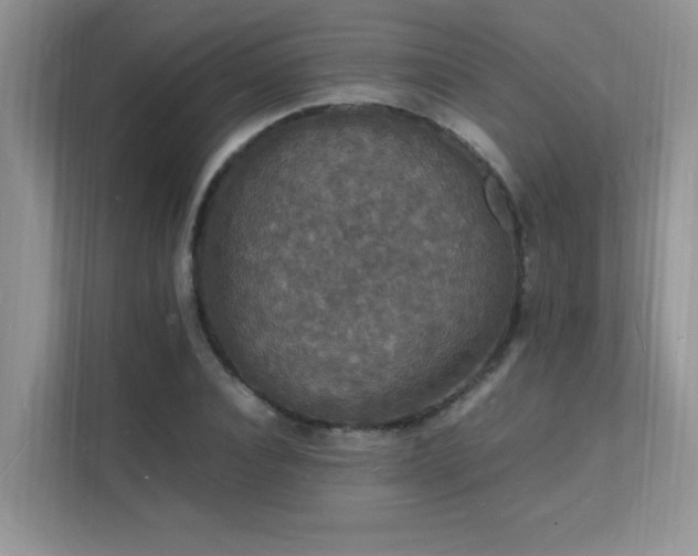 X0000112150928200908071113