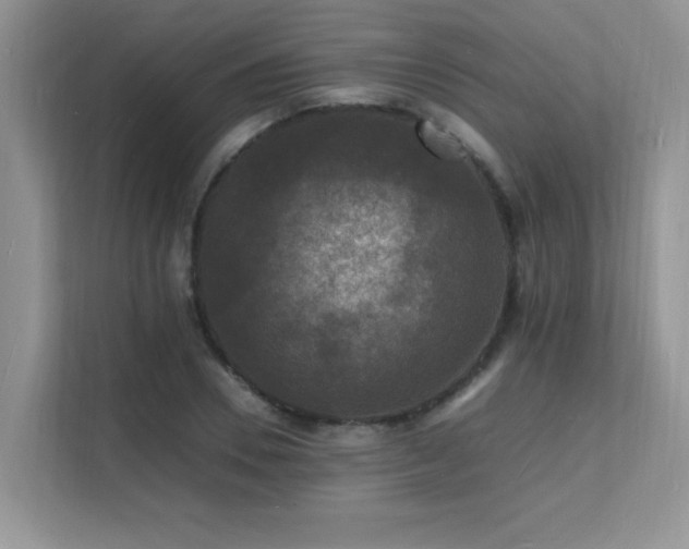 X0000112150930200908071113