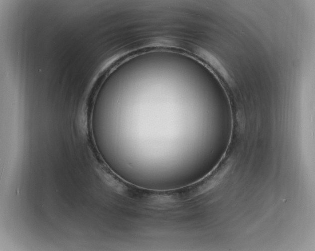 X0000112150931200908071113