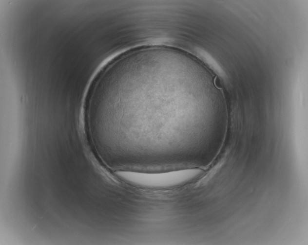 X0000112150932200908071113