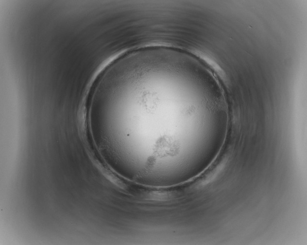 X0000112150933200908071113