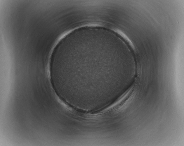 X0000112150935200908071113