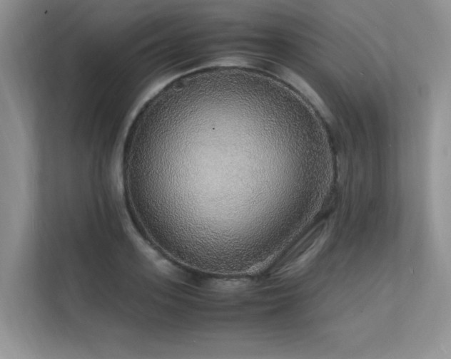 X0000112150939200908071113