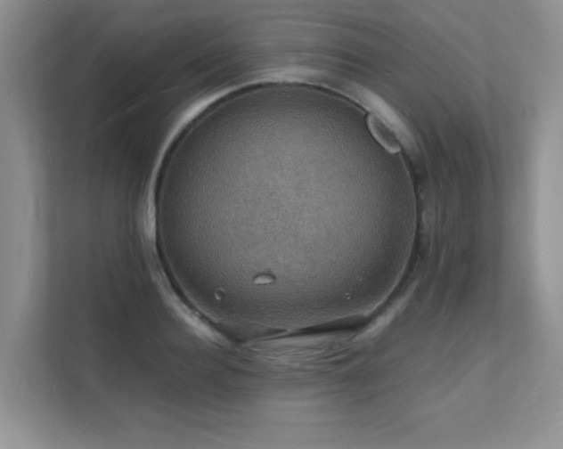 X0000112150940200908071113