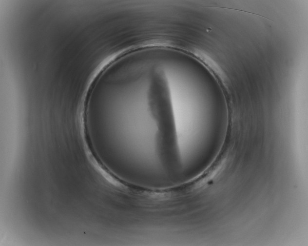 X0000112150941200908071113