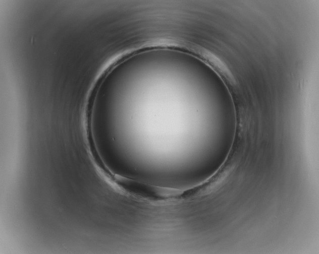 X0000112150942200908071113