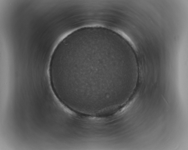 X0000112150943200908071113