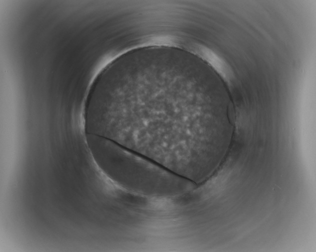 X0000112150944200908071113