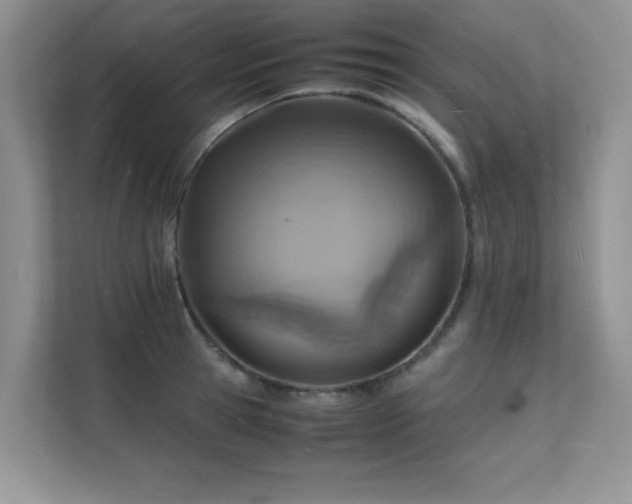 X0000112150945200908071113