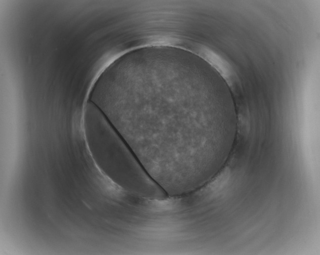 X0000112150948200908071113