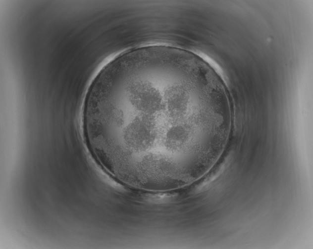 X0000112150949200908071113