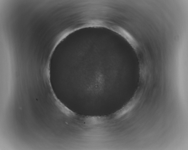 X0000112150950200908071113