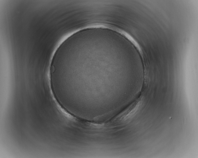 X0000112150951200908071113