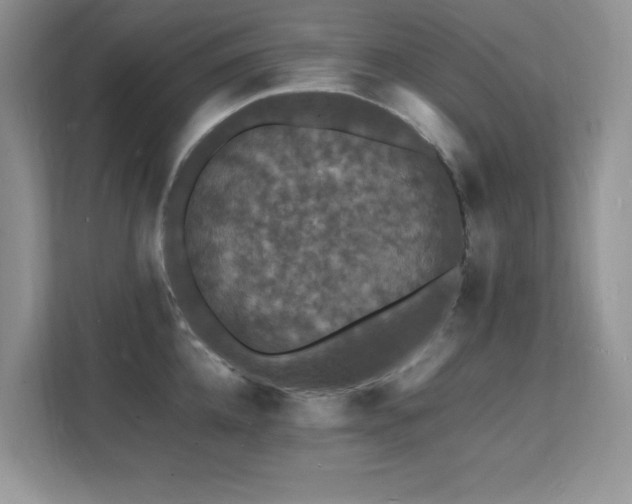 X0000112150952200908071113