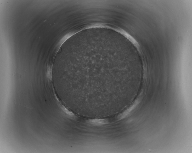 X0000112150953200908071113