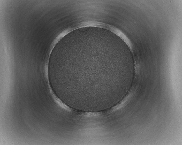 X0000112150954200908071113