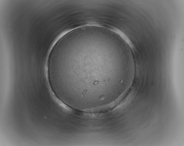 X0000112150955200908071113