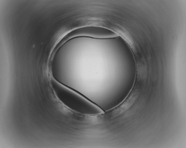 X0000112150956200908071113