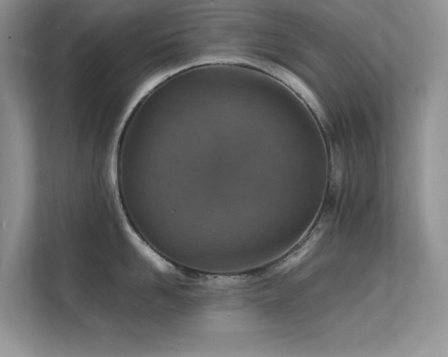 X0000112150958200908071113