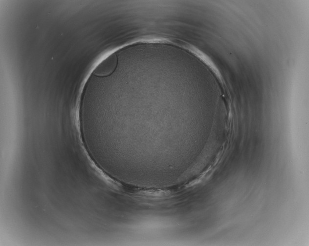 X0000112150959200908071113