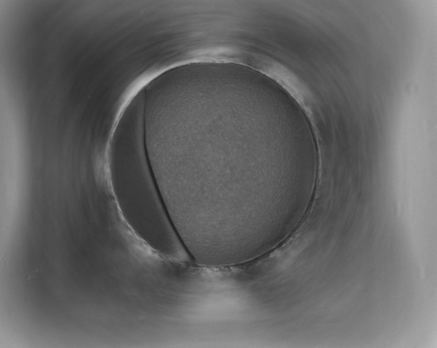 X0000112150960200908071113