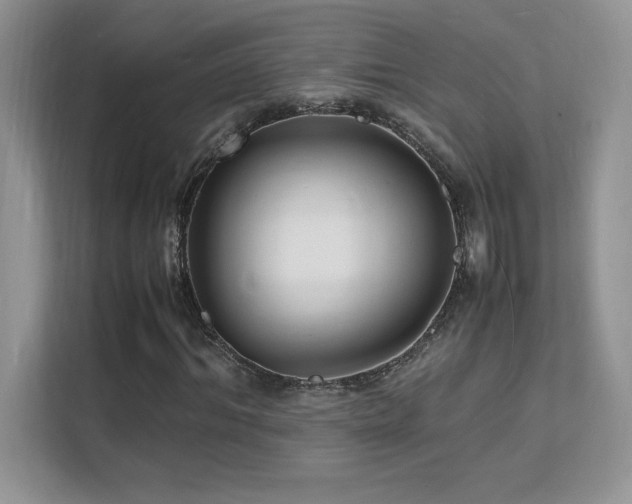 X0000112150964200908071113
