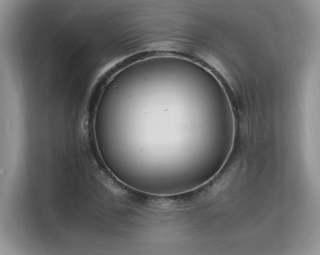 X0000112150971200908071112