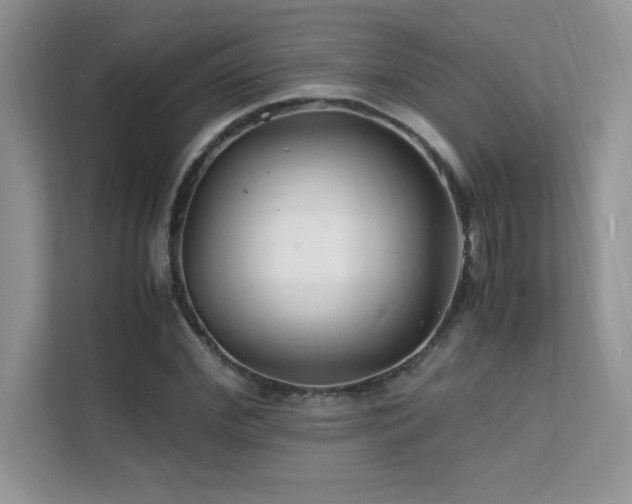 X0000112150972200908071112