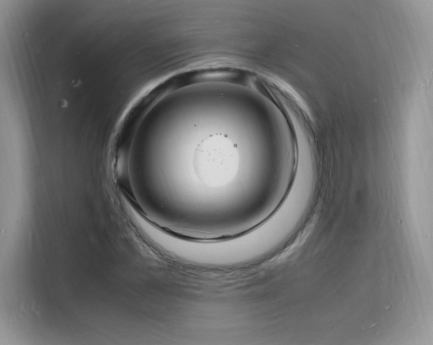 X0000112150973200908071112