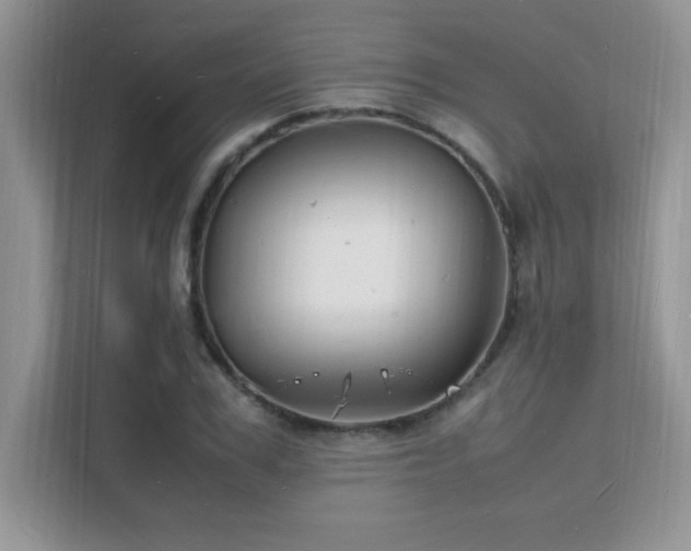 X0000112150979200908071112