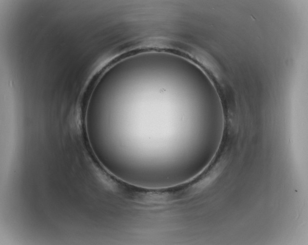 X0000112150981200908071112