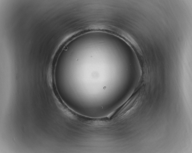 X0000112150984200908071112