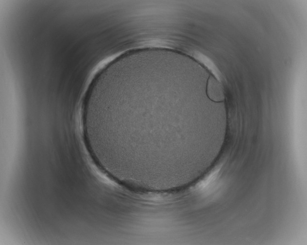X0000112150987200908071112